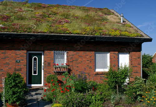 das begrünte haus