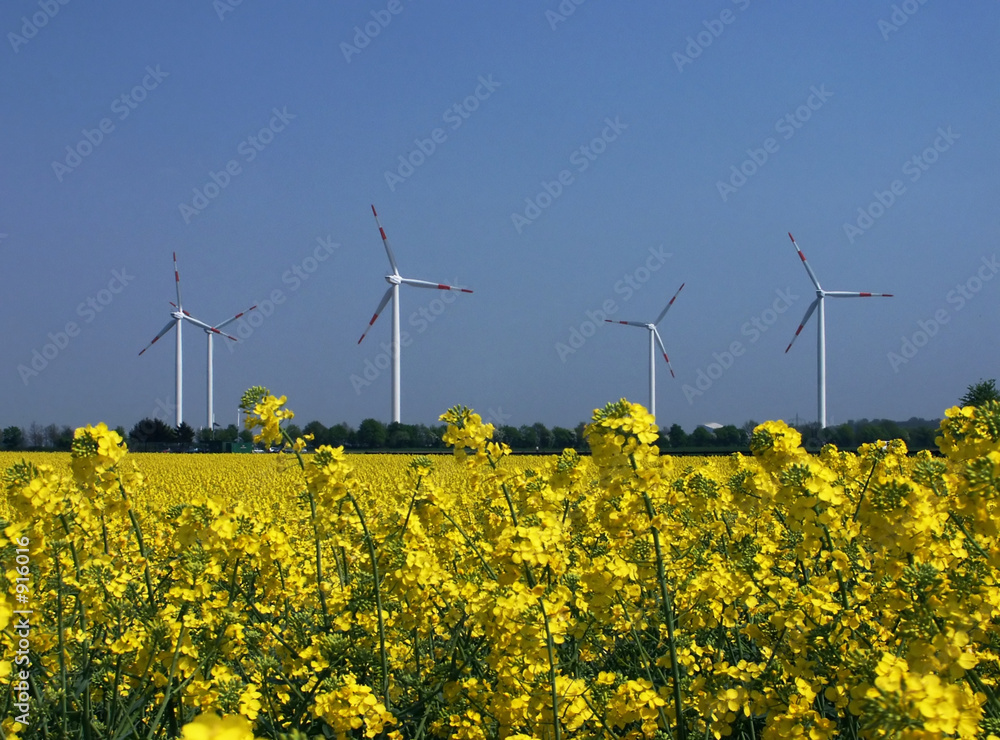 raps und wind