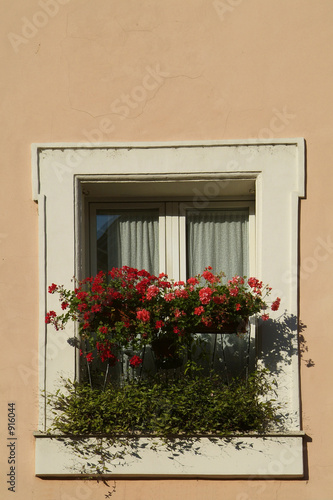 Canvas Print window with red flowers