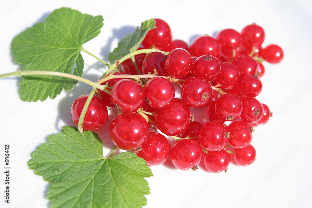 rote johannisbeeren rote johannisbeeren