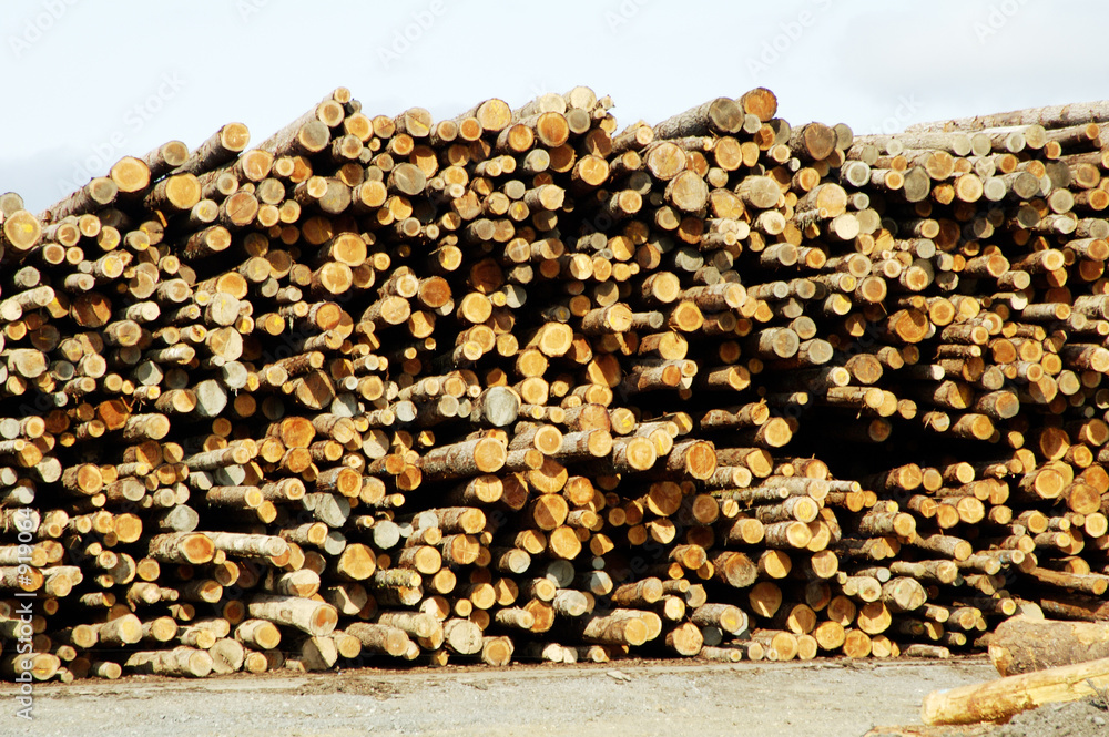 lumber processing 2