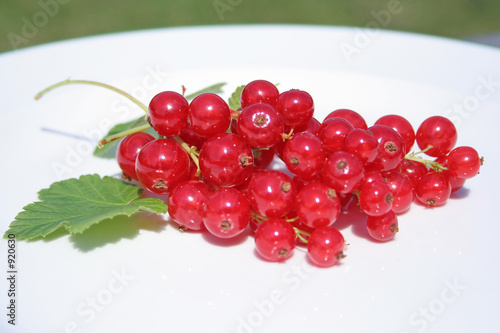 rote johannisbeeren
