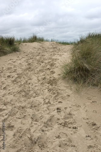 dune beach