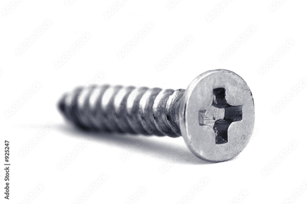Bild auf Leinwand the screw