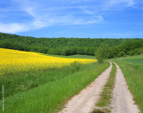 steigerwald7