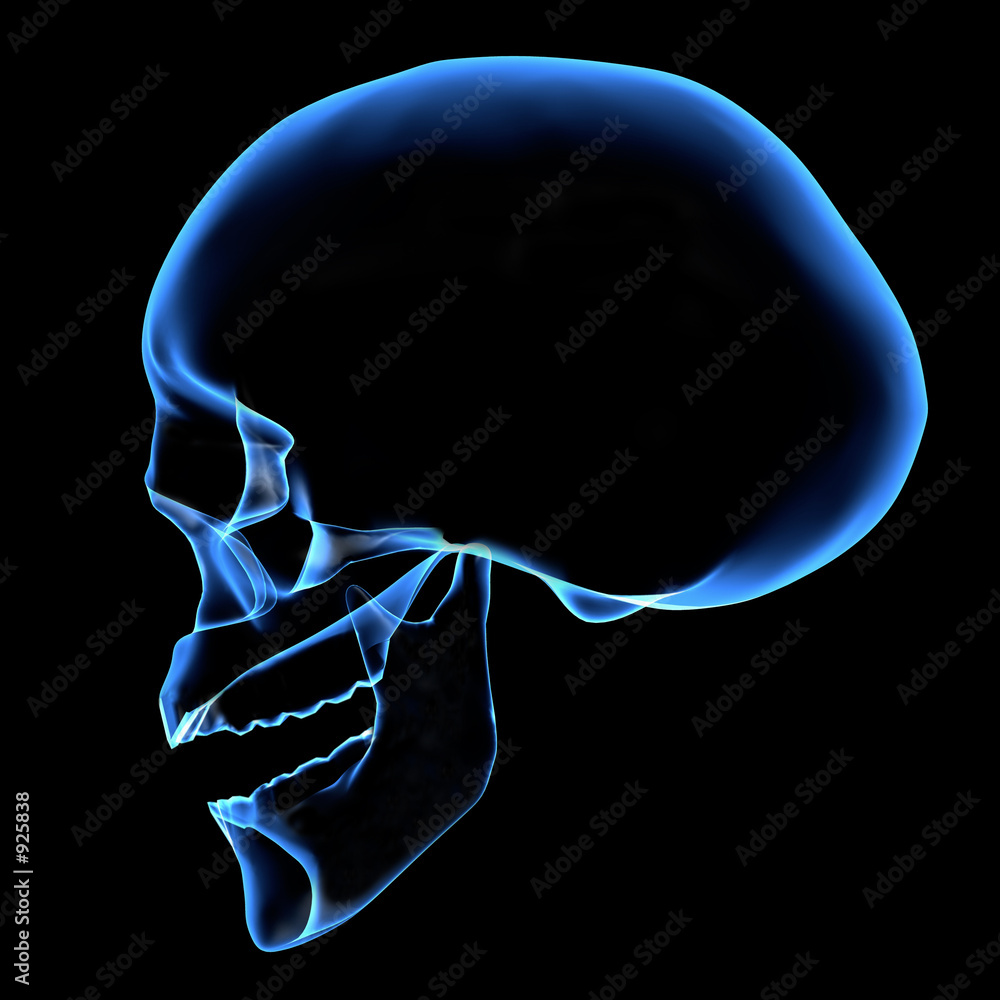 Foto human skull