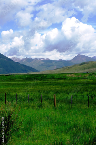 green field