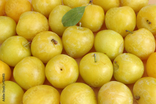 Cuadro en lienzo prune jaune