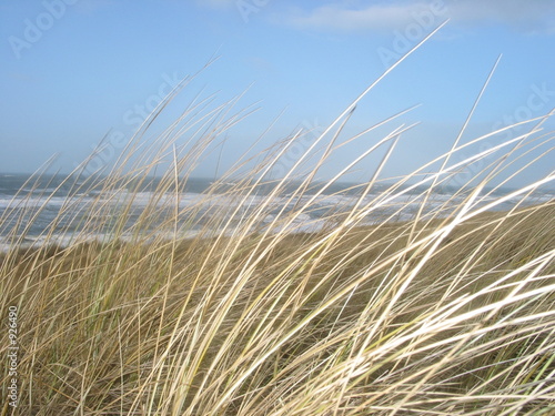 blick auf die nordsee © Daniel Fleck