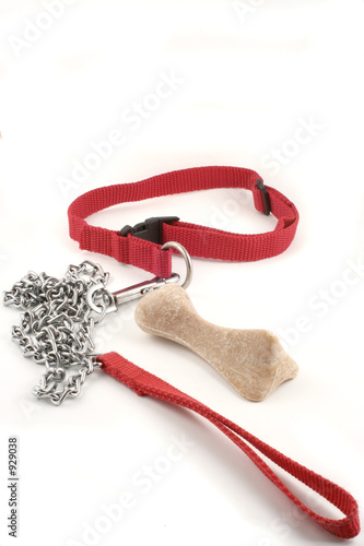 dog leash and bone