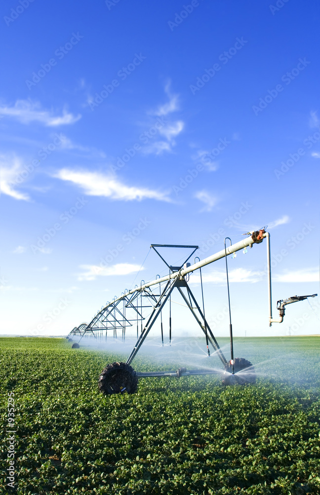 Canvas Print pivot spray