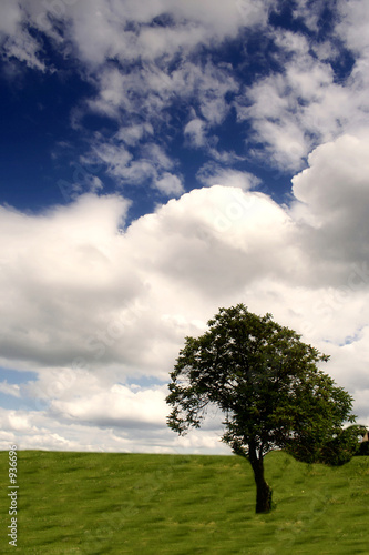 nature landscape © Olaru Radian