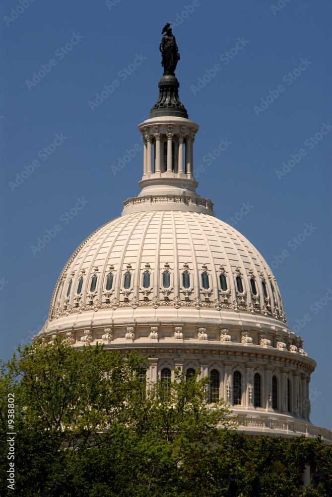 Obraz premium capitol dome