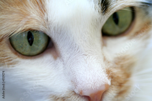 was ist den das? photo