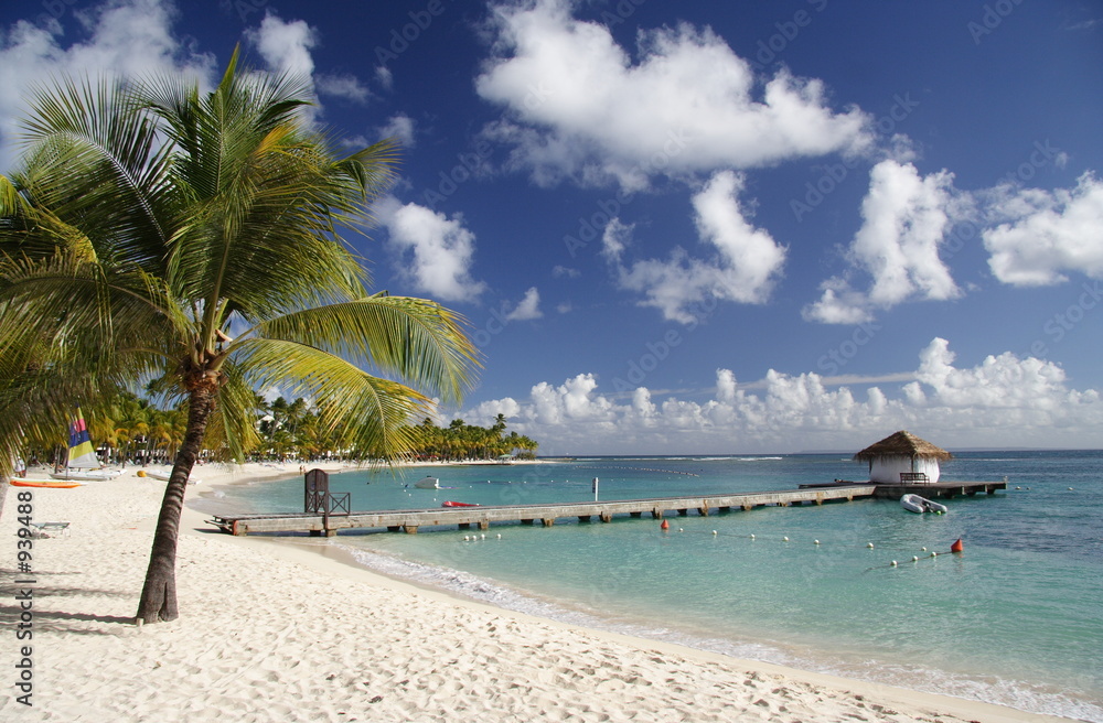 caribbean beach