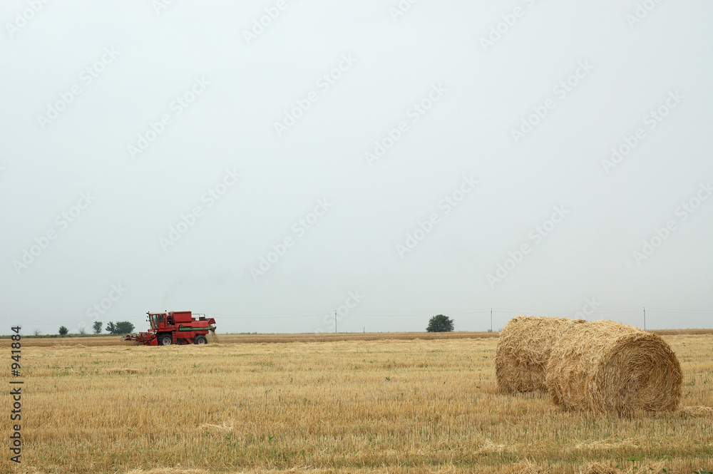 Obraz premium harvester and harvested rolls