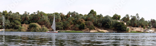 Billede på lærred View of felucca at Nile river