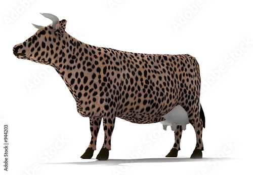 Fototapeta Naklejka Na Ścianę i Meble -  panther cow