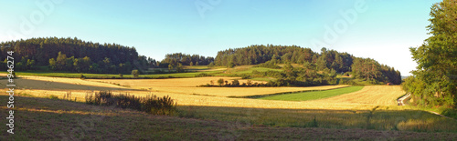 waldpanorama