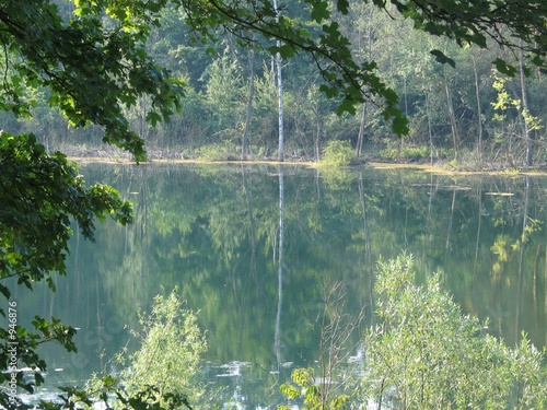 waldsee am morgen
