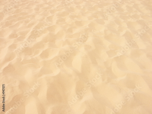 le sable de la dune du pyla photo