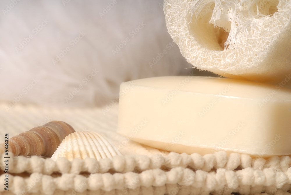 luffa and soap luffa and soap