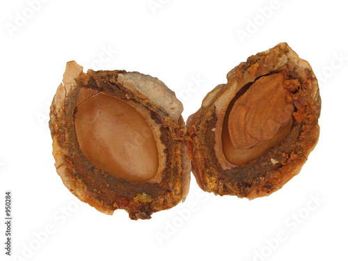 seed inside the peach stone