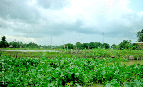 countryside