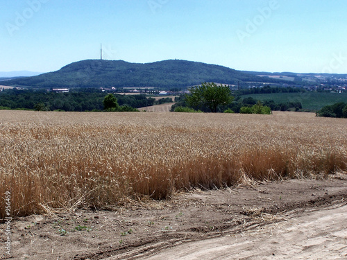 löbauer berg