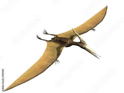 pterus the pterosaur