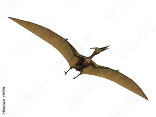 pterus the pterosaure