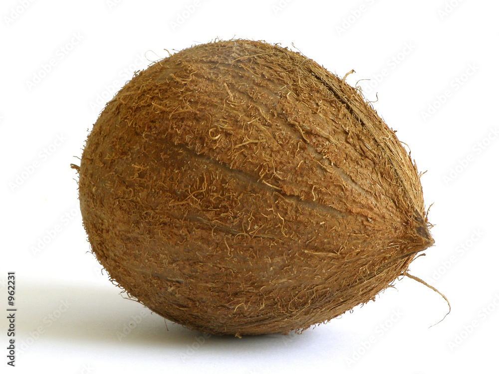 coconuts coconuts