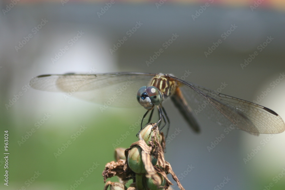 landing landing