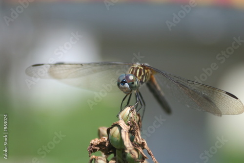 landing