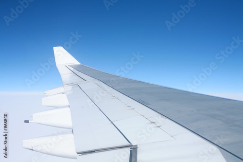 wings