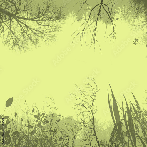 flora background