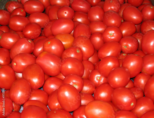 plum tomatoes