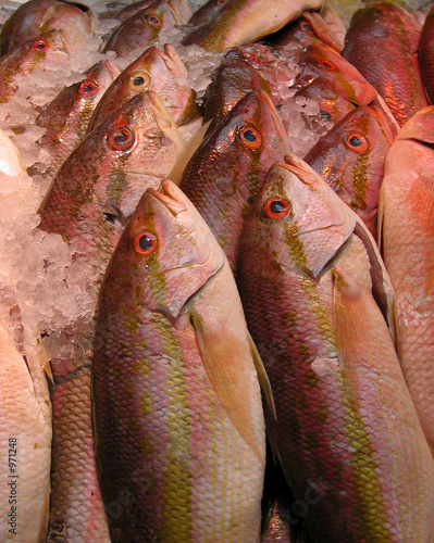 fresh fish