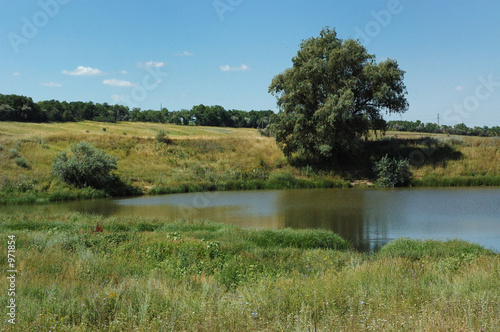 pond in steppe