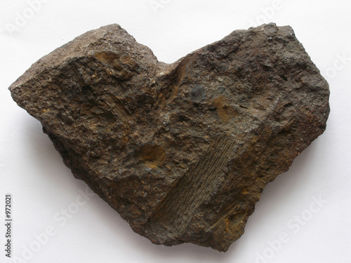 stone heart with prints photo