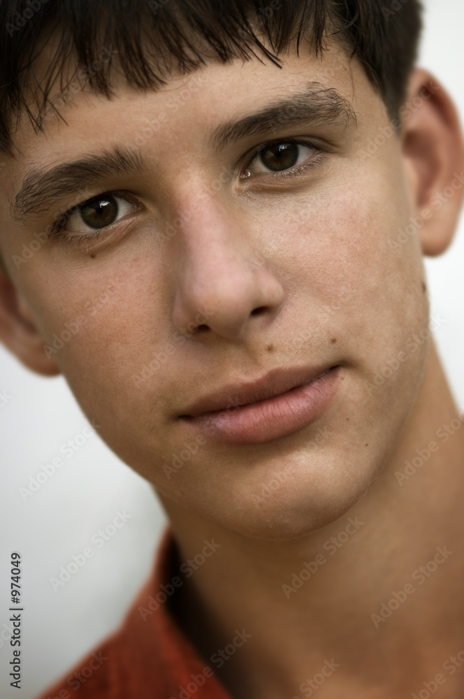 portrait of the boy portrait of the boy