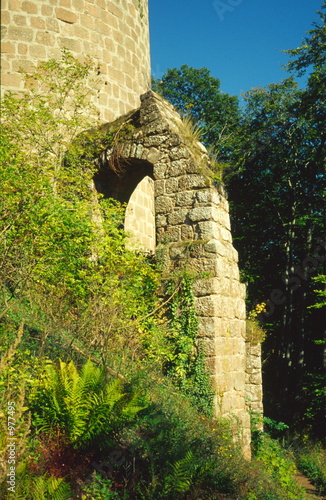 burgruine photo