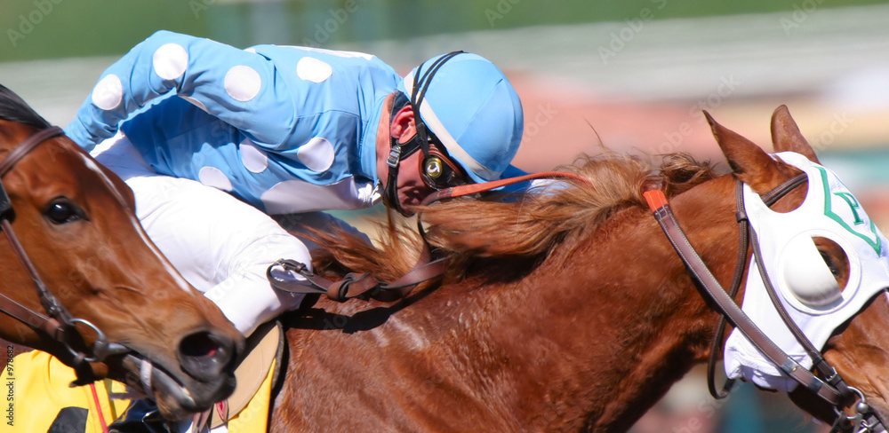 Photography horse race 4