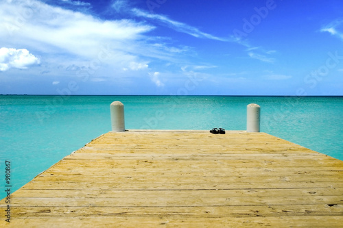 blue sky green water