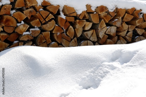 hiver de chartreuse