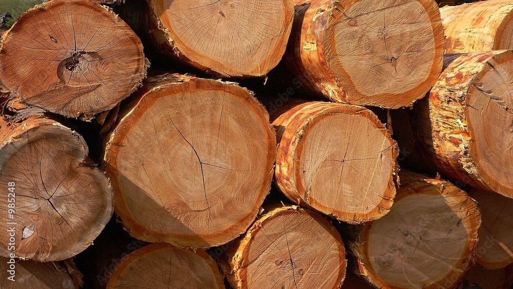 Fototapeta premium gut holz