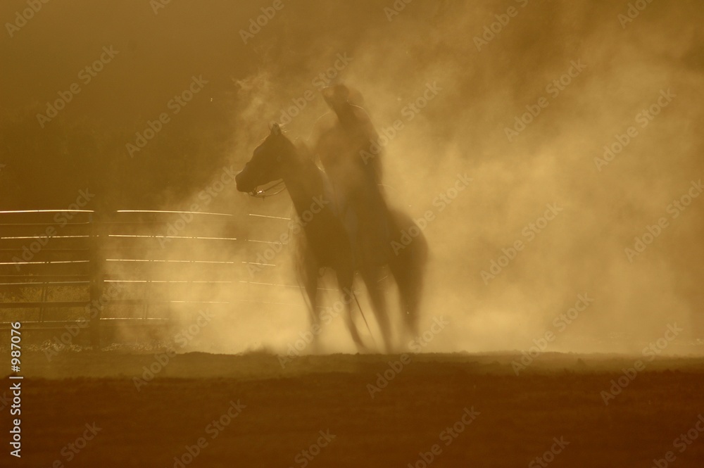 Фотография dusty ride