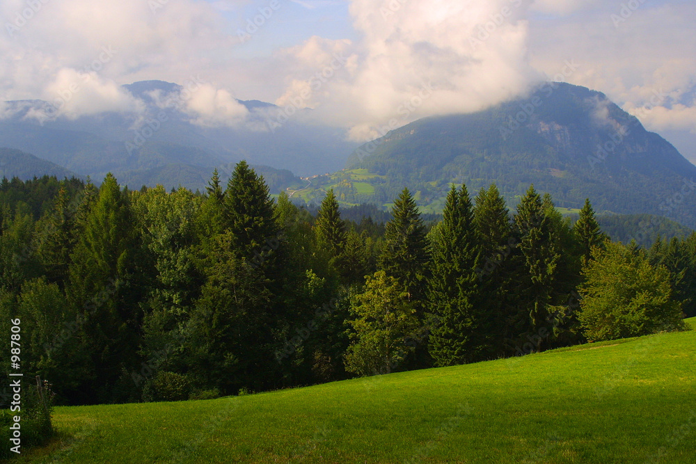 wiese in den bergen