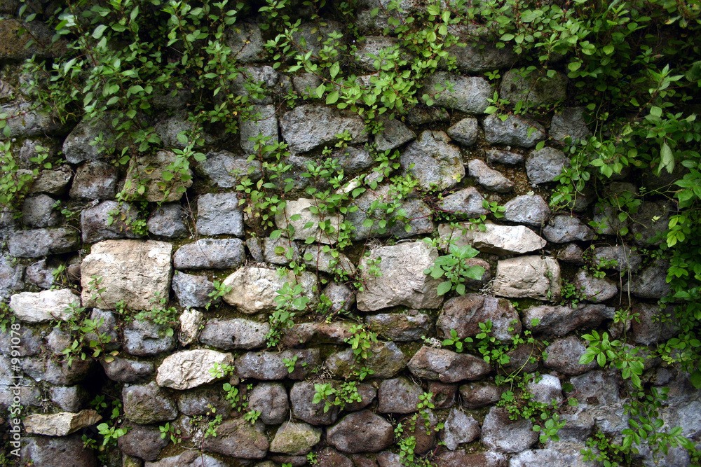 stone wall at ninfa gardens