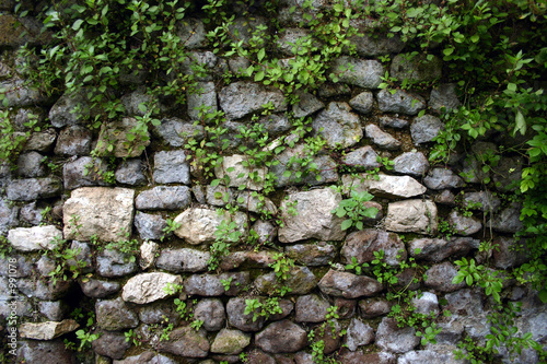 stone wall at ninfa gardens